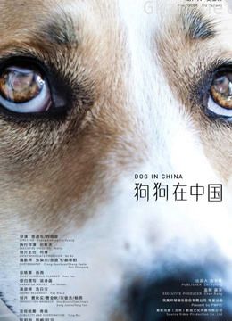 狗狗在中国