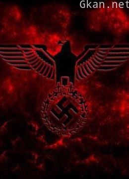 纳粹的崛起 the rise of the nazi party