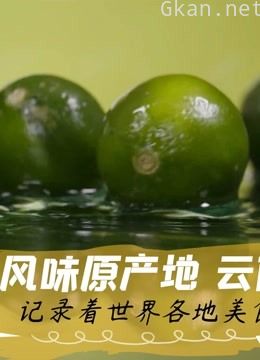 风味原产地 云南纪录片