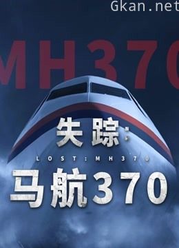 失踪:马航370