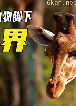 微生物世界纪录片