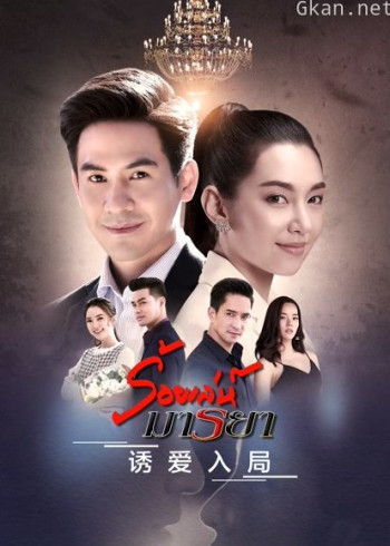 诱爱入局