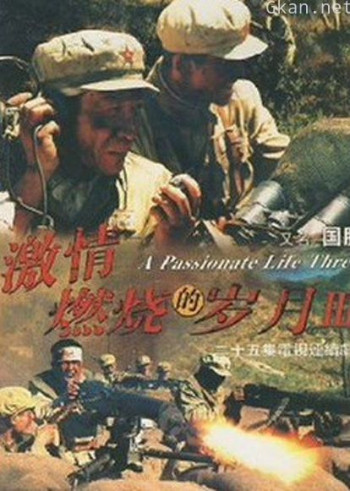 激情燃烧的岁月3