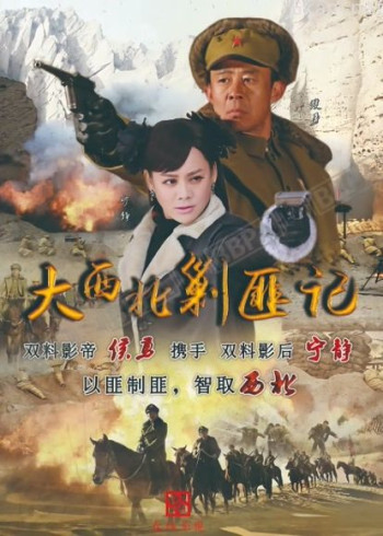 大西北剿匪记