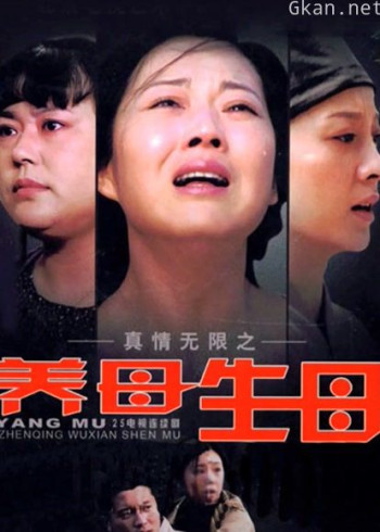 真情无限之养母·生母