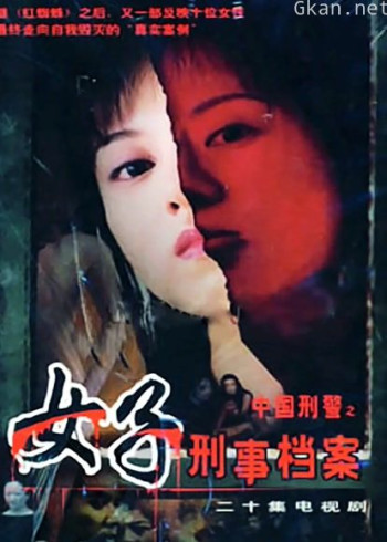 女子刑事档案