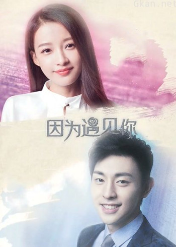 因为遇见你dvd版