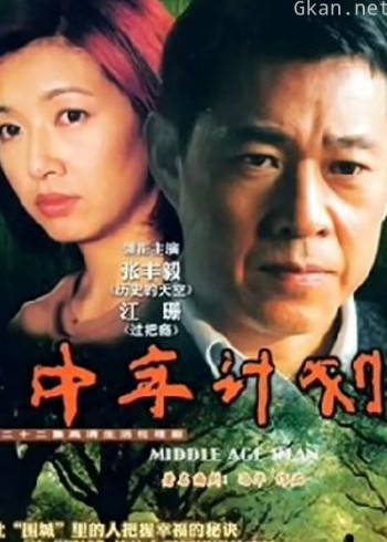 中年计划