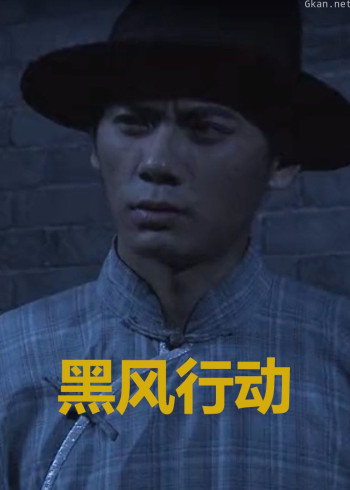 黑风行动