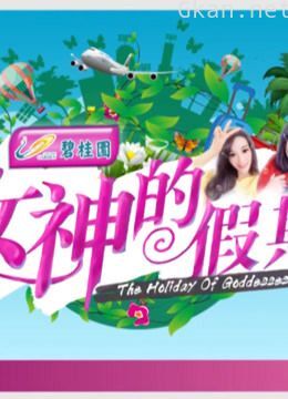 女神的假期2019精编集