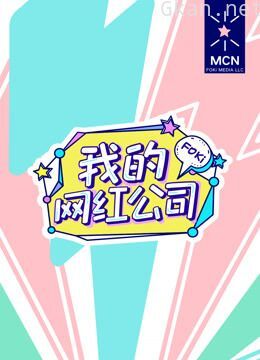 我的网红公司