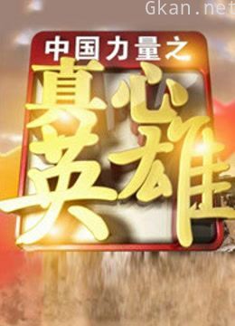 河北卫视真心英雄