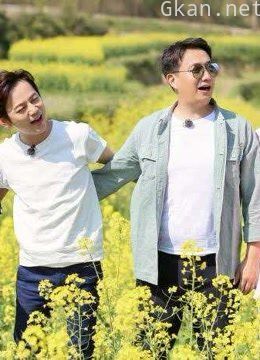 向往的生活精彩锦集