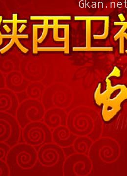 陕西卫视2013春晚