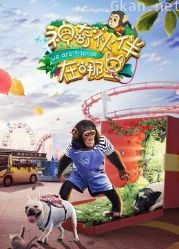 神奇伙伴在哪里