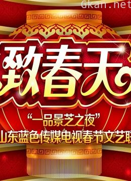 2014年山东六城市春晚