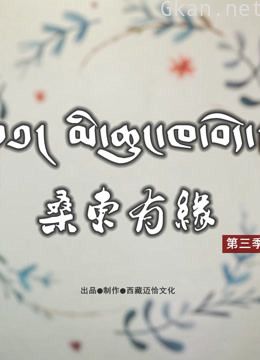 桑东有缘 第三季