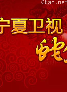 宁夏卫视2013春晚