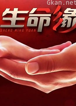 生命缘 第一季