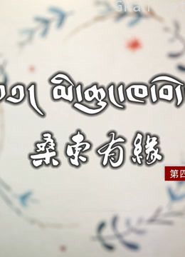 桑东有缘 第四季