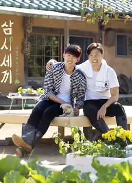 三时三餐 第一季旌善篇