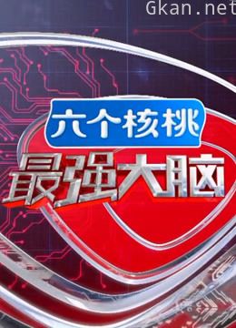 最强大脑 第四季精彩片段