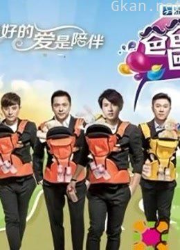 爸爸回来了精彩合集