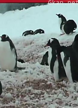 《大娱乐家》精彩内容