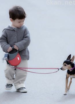 《爸爸回来了》精彩片段集锦