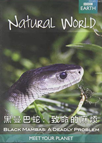 黑曼巴蛇：致命的麻烦