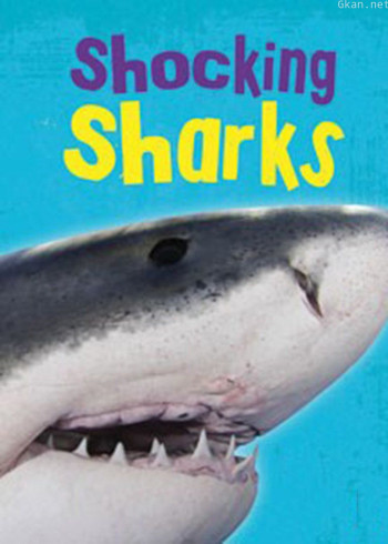 奇型怪鲨