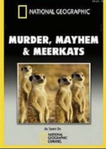 谋杀、混乱和狐獴