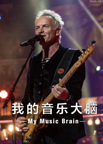 我的音乐大脑