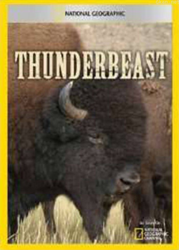 国家地理特别节目:美洲野牛求生录