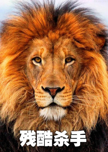 残酷杀手