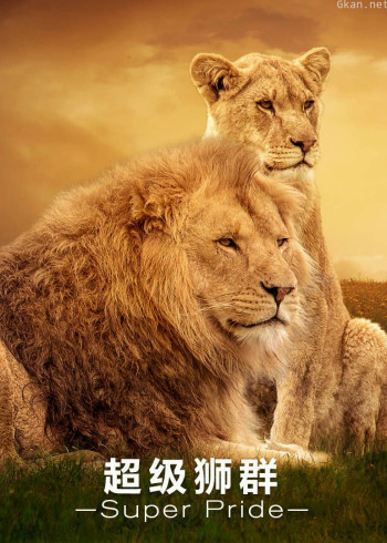 超级狮群