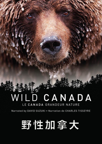 野性加拿大