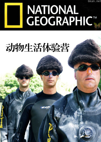 动物生活体验营