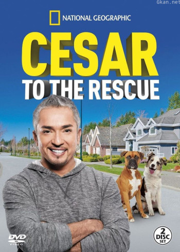 呼叫西萨狗教官 第二季