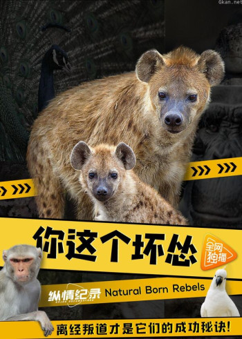 你这个坏怂(普通话版)