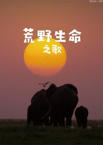 荒野生命之歌