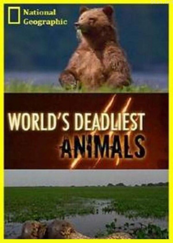 动物杀手 第二季