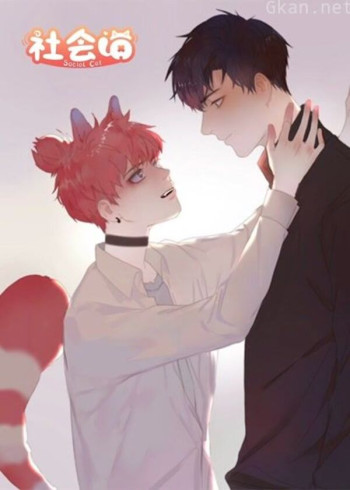 社会喵 动态漫画