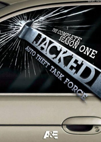 狩猎行动:反偷车专案组