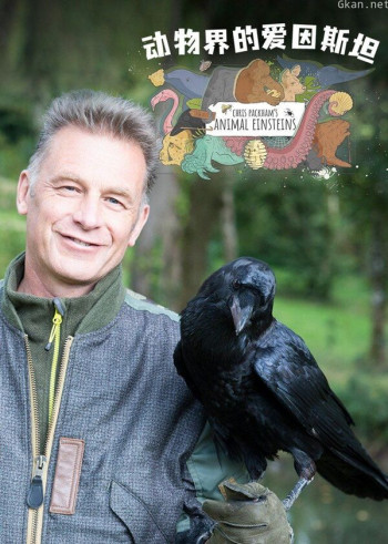 动物界的爱因斯坦
