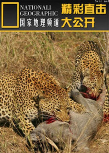 精彩直击大公开