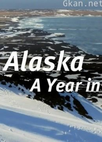 阿拉斯加:荒野年轮