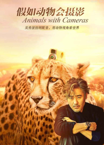 假如动物会摄影(普通话版)