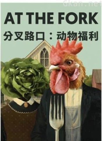 分岔路口:动物福利