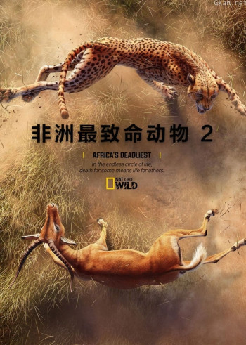 非洲最致命动物 第二季